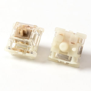 Gateron Baby Raccoon Switches