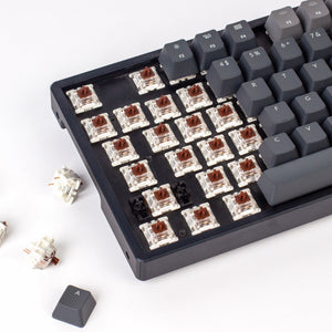 Gateron G Pro 2.0 Switches