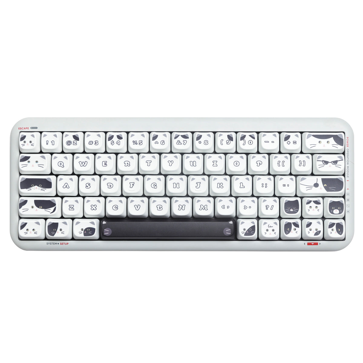 pbt keycap set dye sub keycaps cherry profile custom keyboard FOREST ...