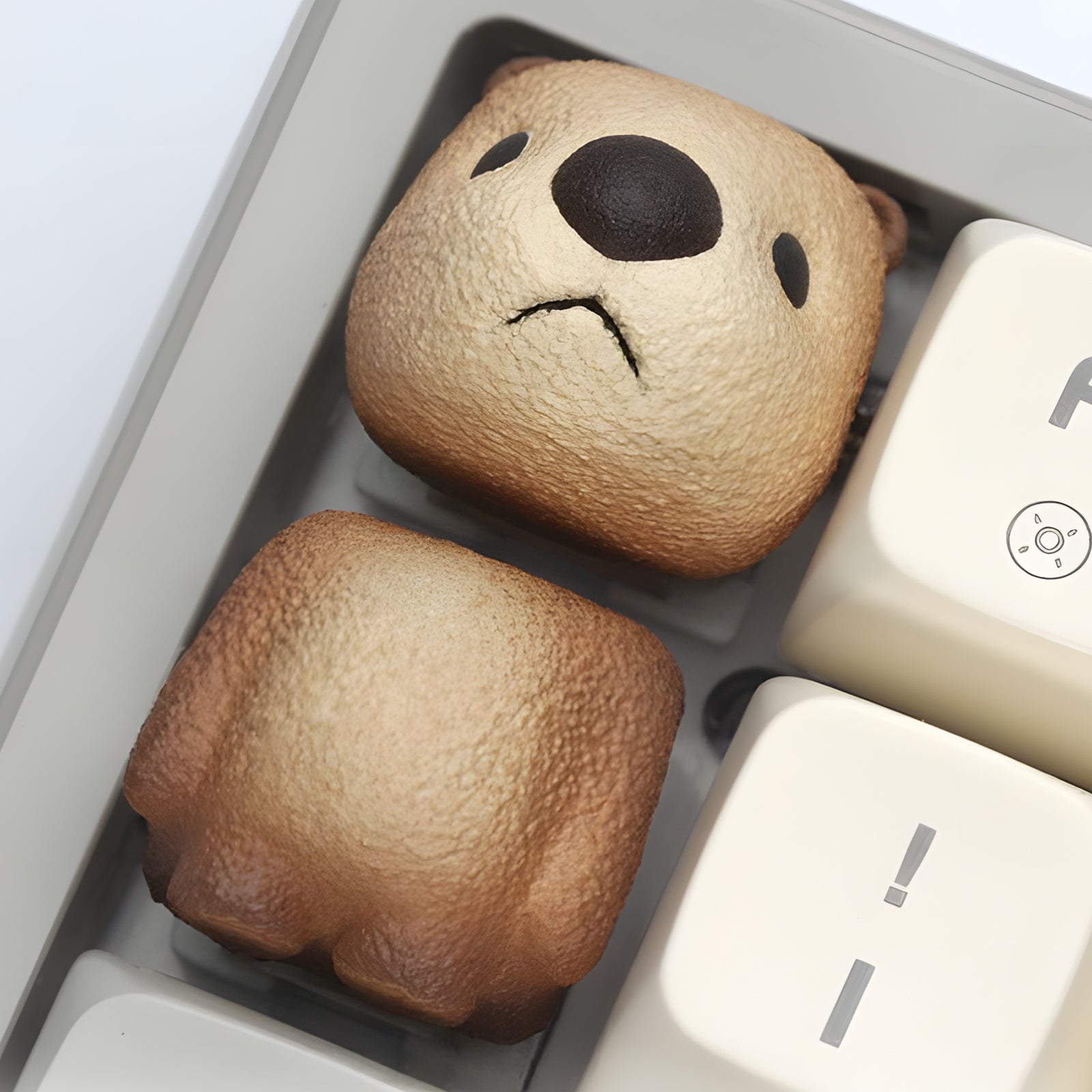 キーボード Artisan keycap - Bongo Prickly Pear. キーボード Artisan keycap - Bongo Prickly Pear. Bongo Cat