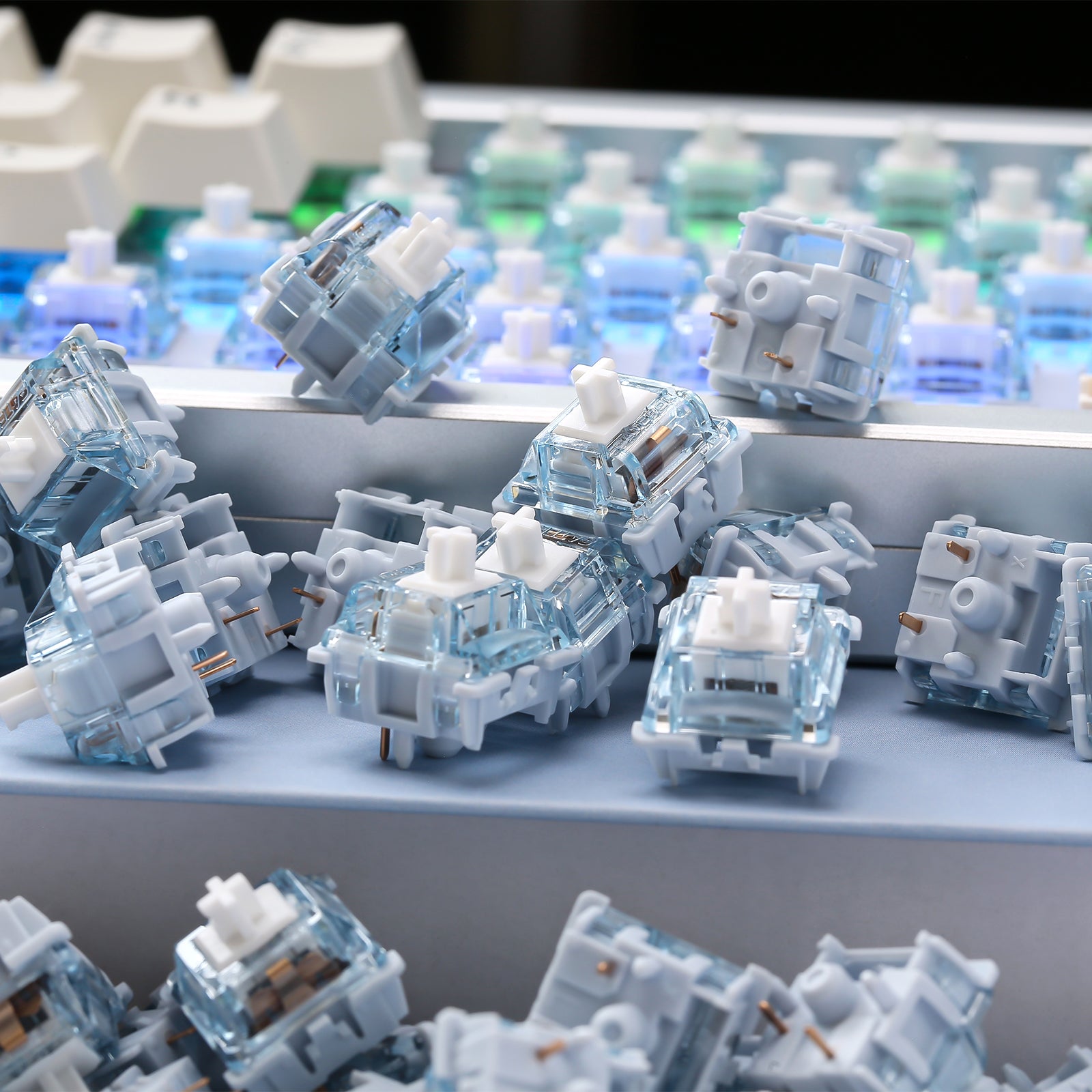 8_1cf1bfce-5664-4016-ab85-