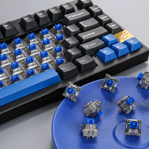 YUNZII Blue Grey Tactile Switch