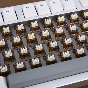 YUNZII Cocoa Cream V2 Linear Switches