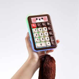 YUNZII C21 Wireless Mechanical Numpad Keyboard & Calculator