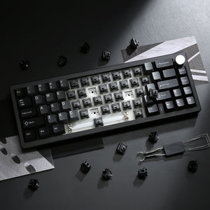 YUNZII Onyx Tactile Clicky Mechanical Switch