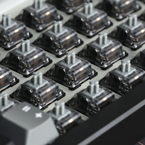 YUNZII Onyx Tactile Clicky Mechanical Switch