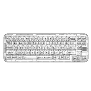 YUNZII x CoolKiller CK68 Wireless Hot Swappable OLED Mechanical Keyboard-Polar Bear