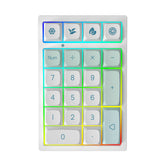 YUNZII YZ21 Mint Hot Swappable Mechanical Numeric Keypad Num Pad