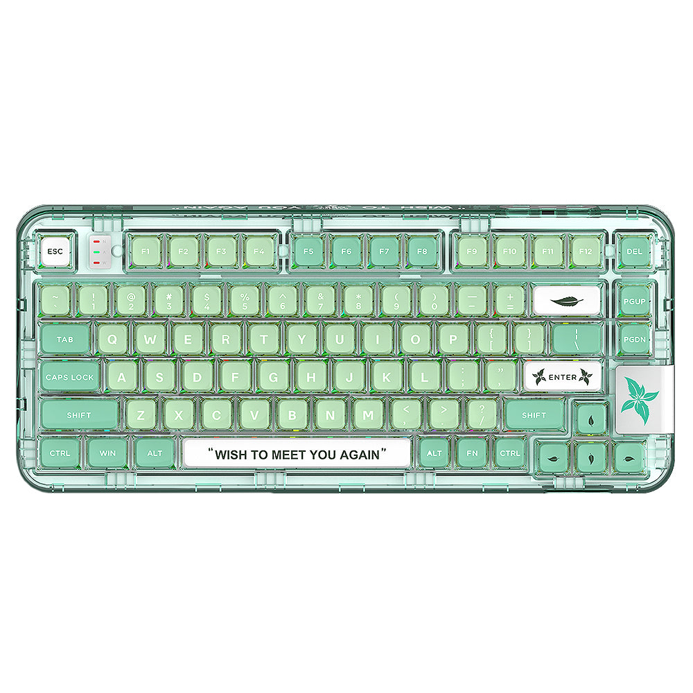 YUNZII CK75 Wireless Transparent Gasket Mechanical Keyboard-Polar Bear