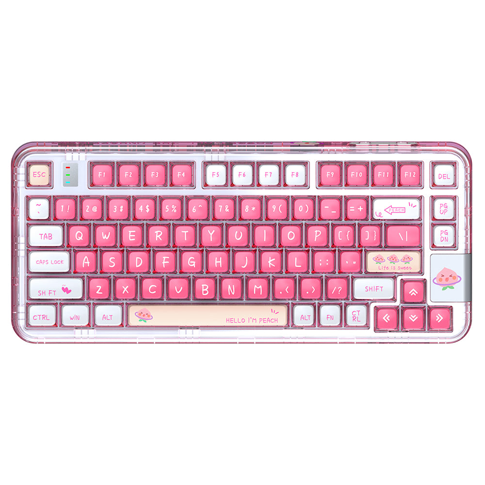 YUNZII CK75 Wireless Transparent Gasket Mechanical Keyboard-Polar Bear